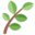 Functional Source Logo